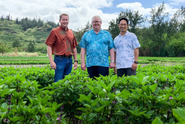 Turtle Bay Community Gardens Ready For Planting North Shore News